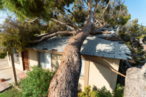 roofing emergency in naples, florida